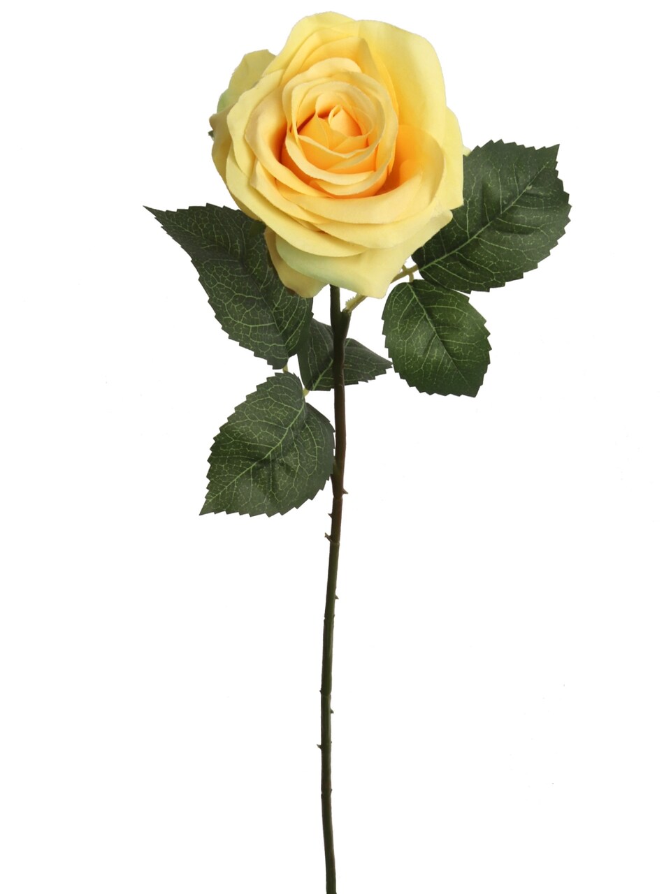 48-Pack: Yellow Open Rose Stem with Lifelike Silk Foliage by Floral Home®